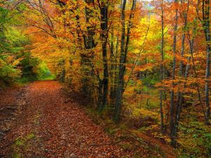 Прогноза: Днес температурите достигат 23°, очаква се затопляне и валежи в западните райони