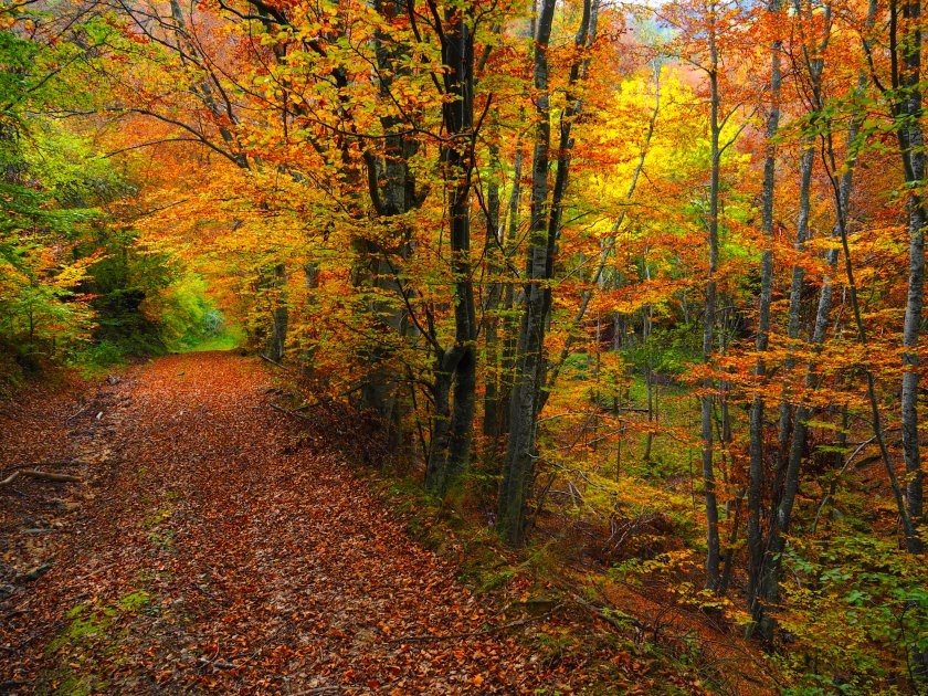 Прогноза: Днес температурите достигат 23°, очаква се затопляне и валежи в западните райони Прогноза: Днес температурите достигат 23°, очаква се затопляне и валежи в западните райони