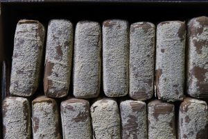 Ирландските власти конфискуваха 116 кг кокаин за 8 милиона евро в графство Лийс Ирландските власти конфискуваха 116 кг кокаин за 8 милиона евро в графство Лийс