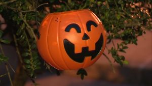 Кметът на Елин Пелин забрани Хелоуин: „За“ и „против“ решението, което раздели общината Кметът на Елин Пелин забрани Хелоуин: „За“ и „против“ решението, което раздели общината