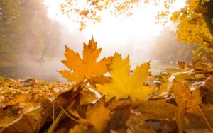 Рязка промяна на времето: Застудяване с валежи от вторник и риск от наводнения Рязка промяна на времето: Застудяване с валежи от вторник и риск от наводнения