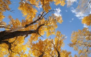 Затоплянето продължава: Температурите достигат 21° преди понижението през уикенда