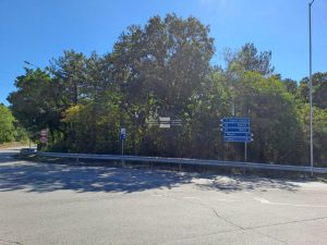 Трагедия край Варна: Един загинал и осем ранени след инцидент на рали „Планинско изкачване Аладжа манастир“