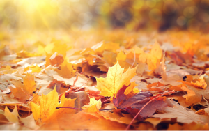 Край на интензивните валежи: Слънце на запад, дъждът спира на изток