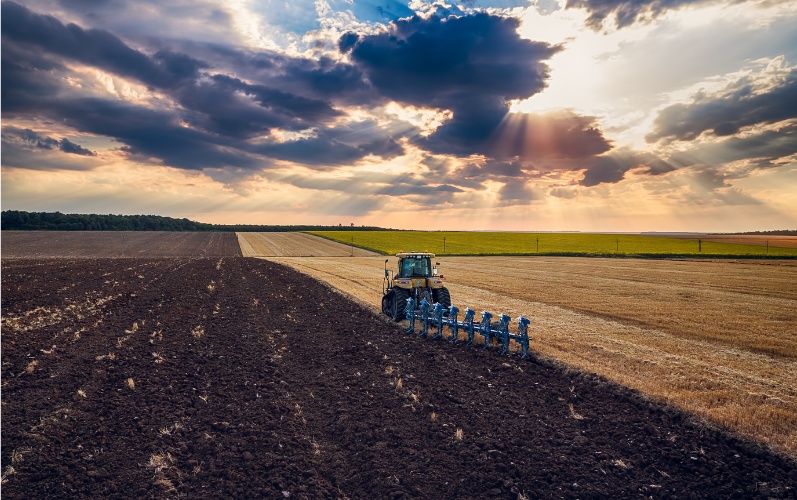 Зърнопроизводителите готови за протест: Искат оставката на министъра и среща с премиера Росен Желязков Зърнопроизводителите готови за протест: Искат оставката на министъра и среща с премиера Росен Желязков