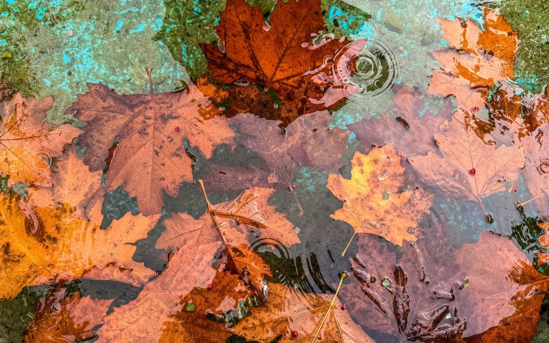 Оранжев и Жълт код за опасно време: Интензивни валежи и гръмотевични бури в Западна България Оранжев и Жълт код за опасно време: Интензивни валежи и гръмотевични бури в Западна България