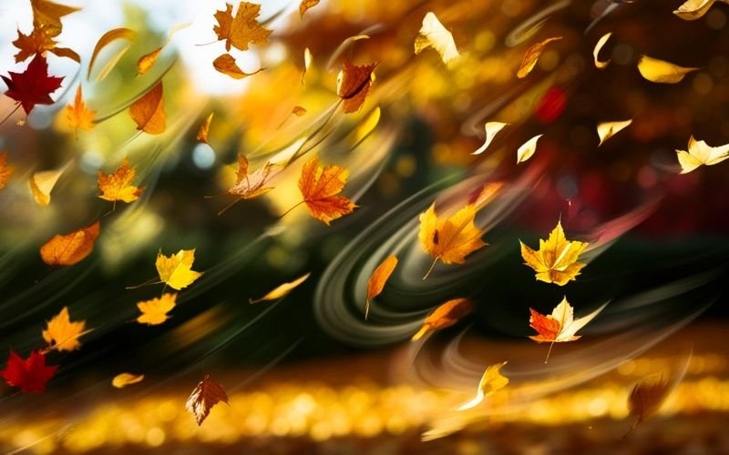 Ноември ще бъде по-топъл от обичайното: Дневни температури до 20 градуса и по-малко валежи Ноември ще бъде по-топъл от обичайното: Дневни температури до 20 градуса и по-малко валежи