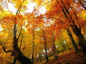 Необичайно топъл преход към ноември: Много слънце и температури до 23° Необичайно топъл преход към ноември: Много слънце и температури до 23°