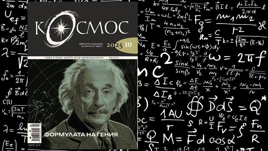 Кръщение с огън: Масовите самозапалвания на староверците – протест, по-стар от Ян Палах Кръщение с огън: Масовите самозапалвания на староверците – протест, по-стар от Ян Палах