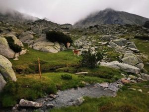 "Възкръсналият" от Русе: Откриха в Пирин мъж, обявен за мъртъв преди 17 години