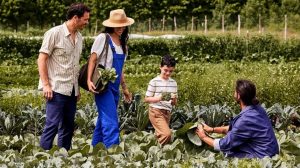 „Див лукс“: Гости плащат хиляди, за да ловят калмари и да берат трюфели в луксозни хотели