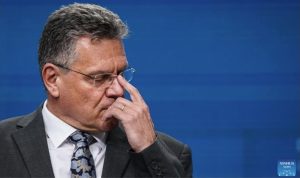 ЕС приветства отлагането на китайските ограничения за редкоземни елементи след „конструктивни преговори“