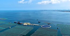 Китайската морска икономика запазва стабилен ръст: БВП се увеличава с 5,6% през първите три тримесечия