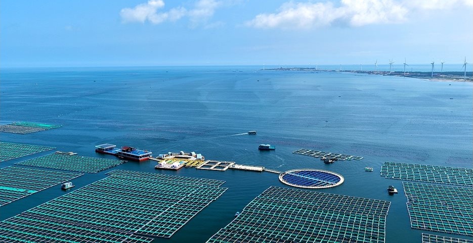 Китайската морска икономика запазва стабилен ръст: БВП се увеличава с 5,6% през първите три тримесечия