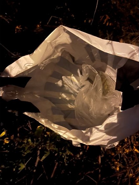 Гонка с полицията в Добрич: Мъж изхвърли 94 грама канабис и побягна