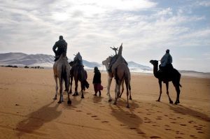Където всичко ще се обърка: Защо непътуващите са прочели само първата страница от живота