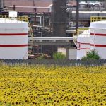 Руски анализатори: Национализацията на „Лукойл“ в България може да повлече крак за всички активи на компанията в Европа