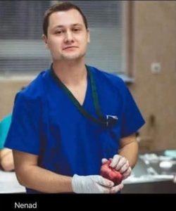 ВМА Отстрани Д-р Ненад Цоневски След Признание за Умишленото Убийство на Кучето Мая