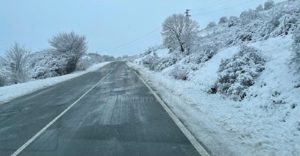 Риск на мокро: Близо една трета от шофьорите подценяват фатално спирачния път