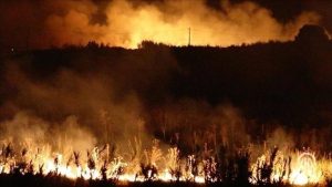 Президентът Тебун нареди разследване за "нощта на ада" в Алжир: 65 жертви и обявен тридневен траур