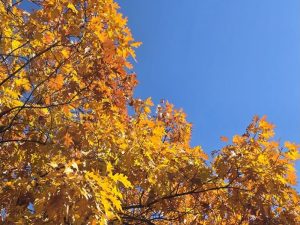 Студен фронт носи валежи и рязко застудяване