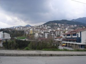 Протести в Смолян: Жители се обявяват срещу масова сеч на дървета по бул. „България“