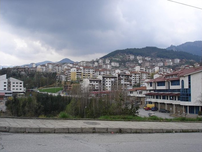 Протести в Смолян: Жители се обявяват срещу масова сеч на дървета по бул. „България“