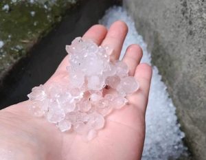 ДФЗ утвърди интензитета за подпомагане при щети от бедствия през 2025 г.