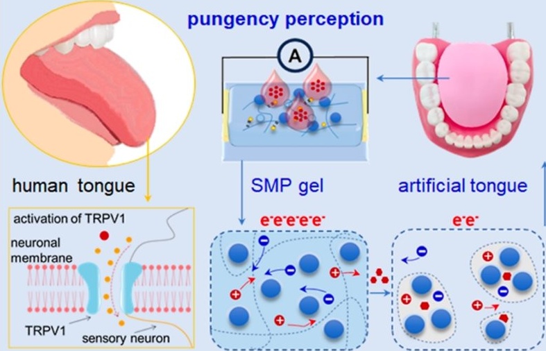 Революция в кухнята: Китайски учени създадоха изкуствен език за измерване на пикантността