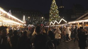 30-метрова елха озари Коледния базар в Страсбург