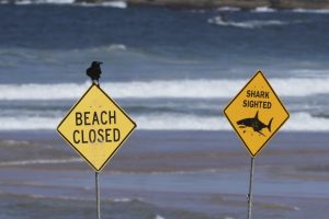 Акула уби жена и рани мъж на плаж в Австралия