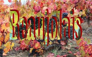 "Новото Божоле пристигна": Лион посрещна младото вино с отлично качество въпреки климата