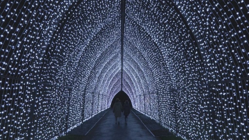 Лондон грейна: Над милион LED светлини осветяват екологичната коледна пътека на Кю Гардънс