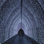 Лондон грейна: Над милион LED светлини осветяват екологичната коледна пътека на Кю Гардънс