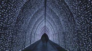 Лондон грейна: Над милион LED светлини осветяват екологичната коледна пътека на Кю Гардънс