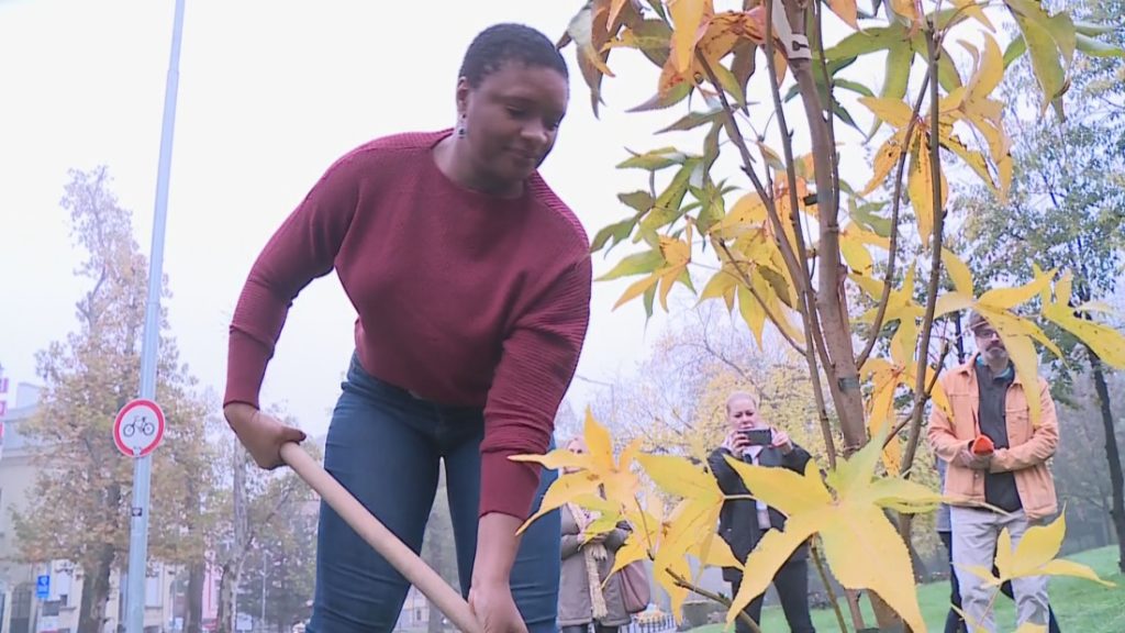 Лиз Райт засади ликвидамбър в Пловдив: Почит към природата и начало на „музикална градина“