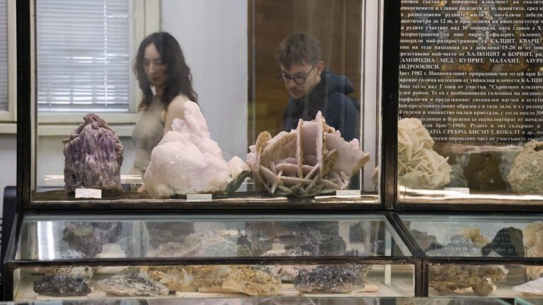 Културните институции настояват за 20% повече средства, предупреждават за колапс на музейната система Културните институции настояват за 20% повече средства, предупреждават за колапс на музейната система