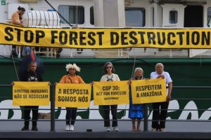 „Нашата земя не е за продан“: Сблъсъци и ранени след нахлуване на коренното население на КОП30 в Бразилия