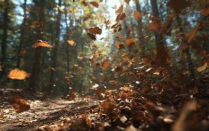 Опасно ветровито време с пориви до 90 км/ч днес и утре, в неделя чакаме сняг