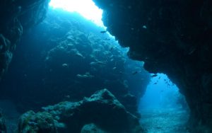 Маями превръща 22 бетонни автомобила в пионерски подводен риф, обединяващ изкуство и наука