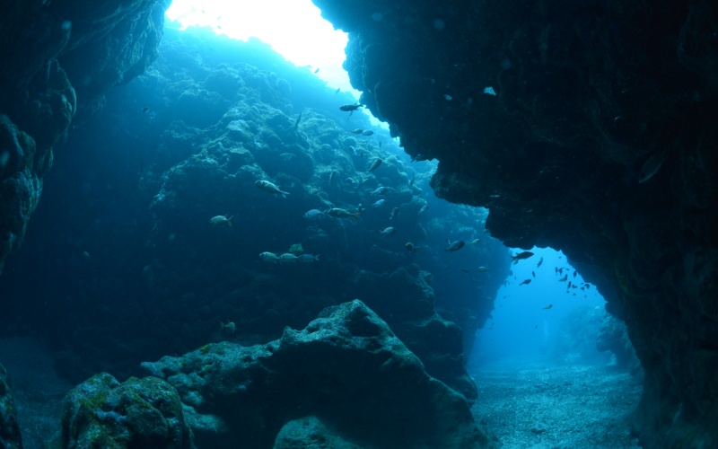 Маями превръща 22 бетонни автомобила в пионерски подводен риф, обединяващ изкуство и наука