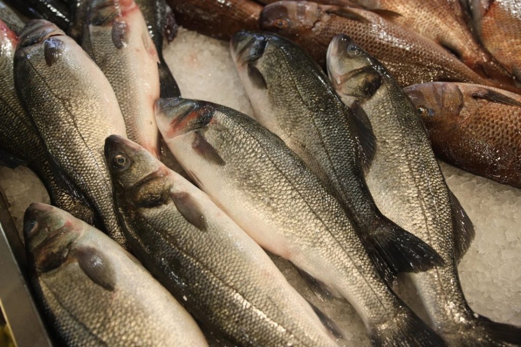 Мащабен контрол преди Никулден: ИАРА и БАБХ тръгват на засилени проверки на рибни борси и стопанства