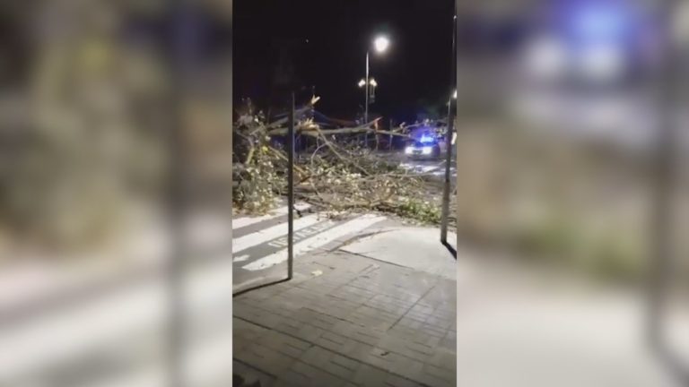 Ураганен вятър връхлетя Царево: Пориви до 90 км/ч, НИМХ обяви жълт код за Бургас