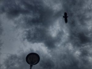 Червен код за валежи в Южна България, новата седмица започва със слънце