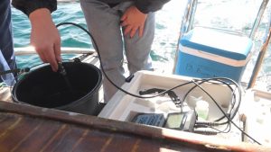 Отлично качество: Мониторингът потвърди чистотата на Черно море край българския бряг Отлично качество: Мониторингът потвърди чистотата на Черно море край българския бряг