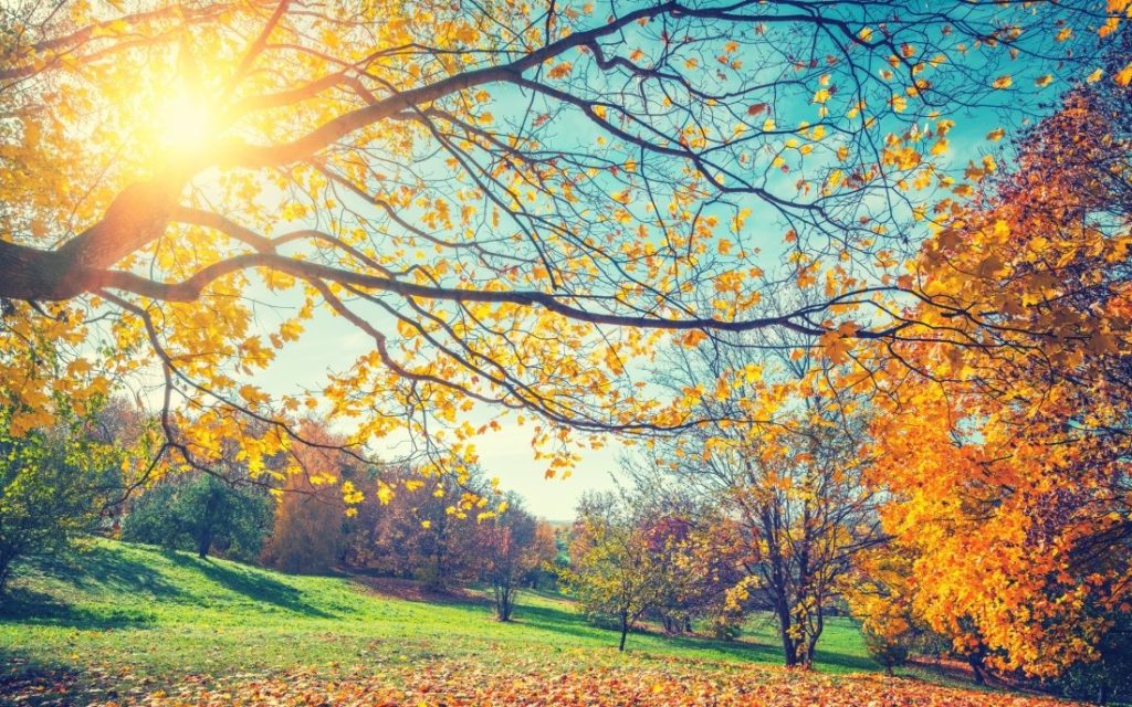 Слънчево време и повишено атмосферно налягане: Подробна прогноза за днес и предстоящата седмица