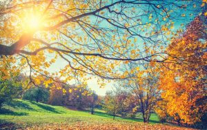 Слънчево време и повишено атмосферно налягане: Подробна прогноза за днес и предстоящата седмица