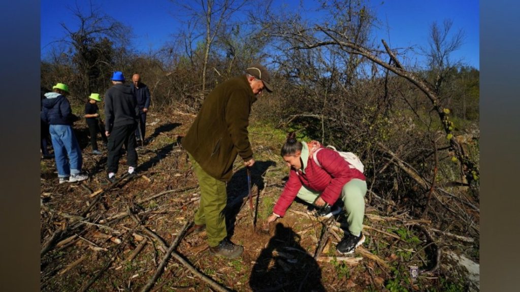 Възстановяват „Гарга баир“: 200 доброволци залесяват опожарената местност край Арбанаси