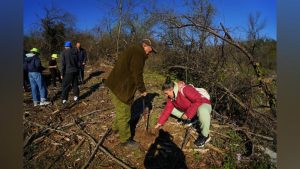 Възстановяват „Гарга баир“: 200 доброволци залесяват опожарената местност край Арбанаси