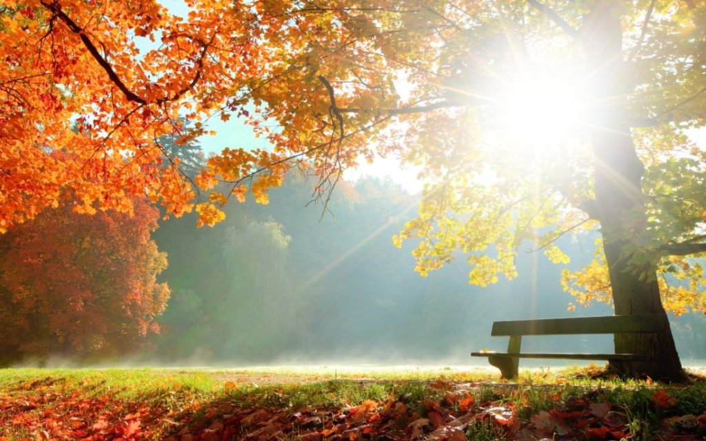 Необичайно топъл старт на ноември: До 24° в събота, очаква се захлаждане от вторник Необичайно топъл старт на ноември: До 24° в събота, очаква се захлаждане от вторник